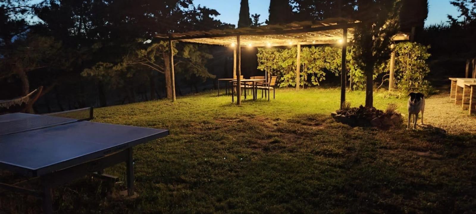 Casa Al Maestro B&B ราดิโกฟานี ภายนอก รูปภาพ